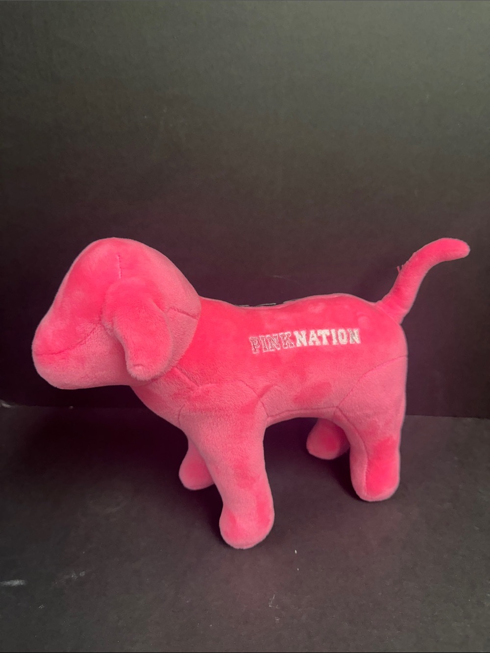 Pink Nation Dog - Picture 2 of 5